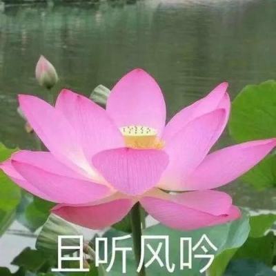 孙卫国：郑天挺与明清档案整理
